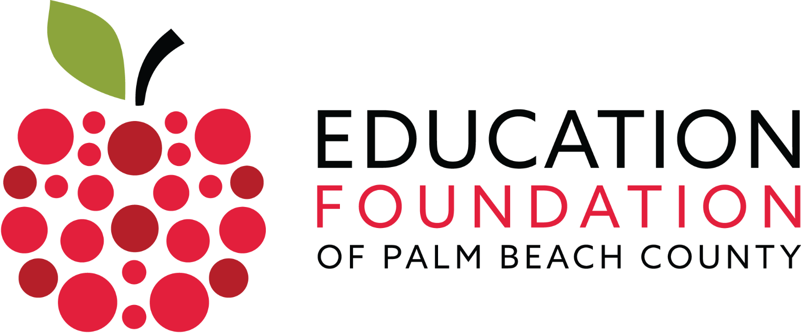 Horizontal_Color_Education_Foundation%20(1).png